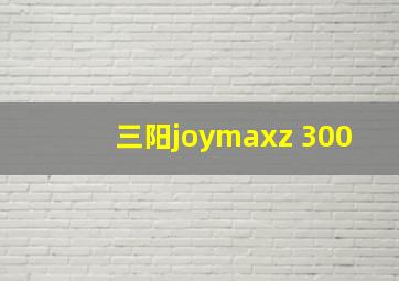 三阳joymaxz 300